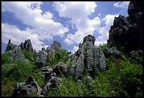 Among the limestone peaks of the Stone Forest. Shilin, Yunnan, China