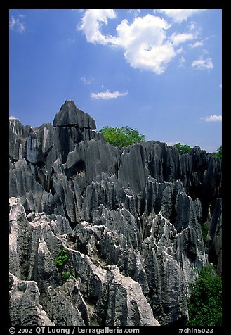 Maze of grey limestone pinnacles and peaks of the Stone Forst. Shilin, Yunnan, China