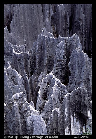 Details of grey limestone pinnacles of the Stone Forst. Shilin, Yunnan, China