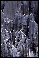 Details of grey limestone pinnacles of the Stone Forst. Shilin, Yunnan, China (color)