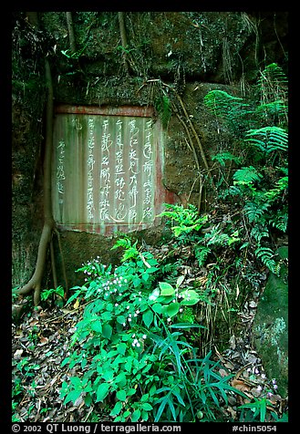 Chinese inscription in stone in the gardens of Dafo Si. Leshan, Sichuan, China (color)