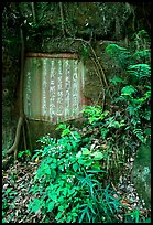 Chinese inscription in stone in the gardens of Dafo Si. Leshan, Sichuan, China