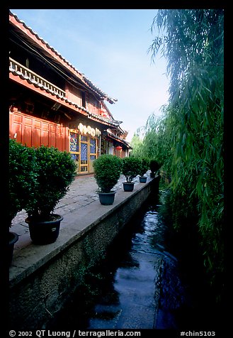 Wooden houses and vegetation near a canal. Lijiang, Yunnan, China