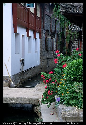 Flowers, canal, and houses. Lijiang, Yunnan, China