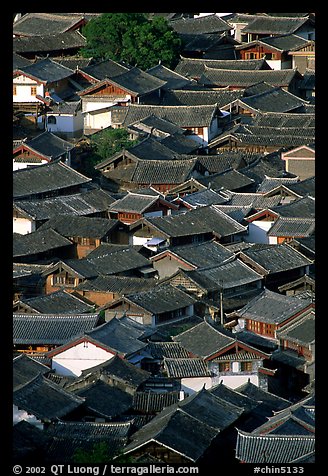 Old town Rooftops seen from Wangu tower. Lijiang, Yunnan, China