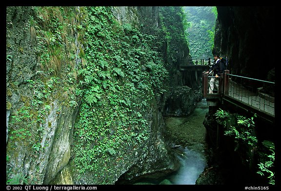 Narrow Gorge between Qingyin and Hongchunping. Emei Shan, Sichuan, China (color)