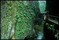 Narrow Gorge between Qingyin and Hongchunping. Emei Shan, Sichuan, China (color)