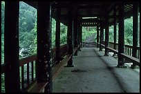 Covered bridge between Qingyin and Hongchunping. Emei Shan, Sichuan, China (color)