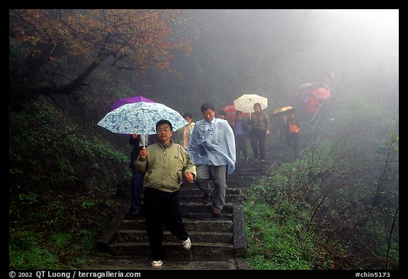 Pilgrims with umbrellas descend some of the tens of thousands of stairs. Emei Shan, Sichuan, China