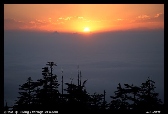 Sunset over a sea of clouds. Emei Shan, Sichuan, China