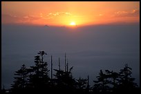 Sunset over a sea of clouds. Emei Shan, Sichuan, China (color)