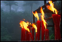 Candles burning with foggy trees in the background, Wannian Si. Emei Shan, Sichuan, China (color)