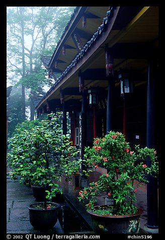 Wannian Si temple in the fog. Emei Shan, Sichuan, China (color)