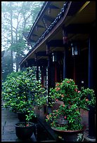 Wannian Si temple in the fog. Emei Shan, Sichuan, China ( color)