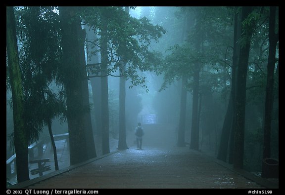 Stairway leading to Wannian Si temple in the fog. Emei Shan, Sichuan, China (color)