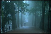 Stairway leading to Wannian Si temple in the fog. Emei Shan, Sichuan, China