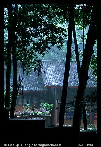 Bailongdong temple seen through trees. Emei Shan, Sichuan, China (color)