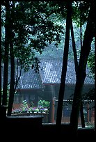 Bailongdong temple seen through trees. Emei Shan, Sichuan, China ( color)