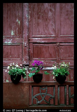 Potted flowers and wooden wall in Bailongdong temple. Emei Shan, Sichuan, China