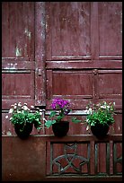 Potted flowers and wooden wall in Bailongdong temple. Emei Shan, Sichuan, China