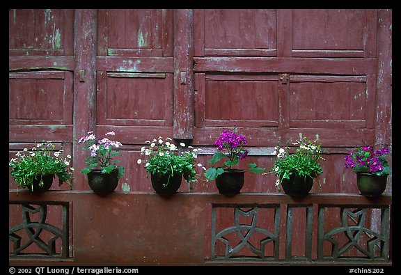 Potted flowers and wooden wall in Bailongdong temple. Emei Shan, Sichuan, China