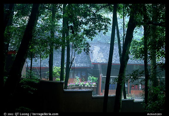 Bailongdong temple seen through trees. Emei Shan, Sichuan, China (color)