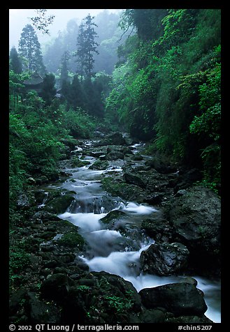 Stream between Qingyin and Hongchunping. Emei Shan, Sichuan, China (color)