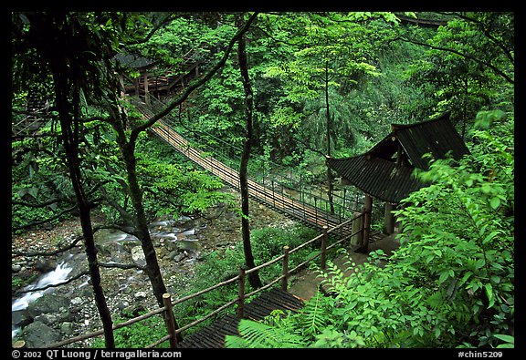 Suspension bridge between Qingyin and Hongchunping. Emei Shan, Sichuan, China