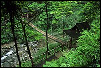 Suspension bridge between Qingyin and Hongchunping. Emei Shan, Sichuan, China (color)