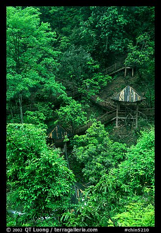 Path and pavillon on steep hillside between Qingyin and Hongchunping. Emei Shan, Sichuan, China (color)