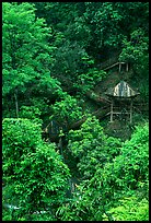 Path and pavillon on steep hillside between Qingyin and Hongchunping. Emei Shan, Sichuan, China