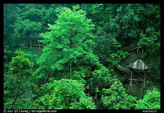 Path and pavillon on steep hillside between Qingyin and Hongchunping. Emei Shan, Sichuan, China (color)