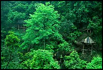 Path and pavillon on steep hillside between Qingyin and Hongchunping. Emei Shan, Sichuan, China (color)