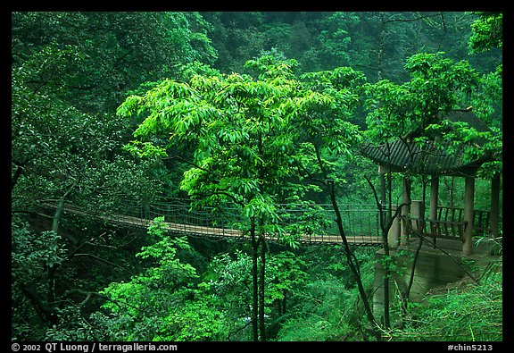 Suspension bridge between Qingyin and Hongchunping. Emei Shan, Sichuan, China (color)