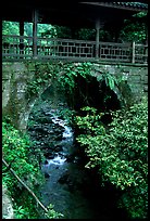 Covered bridge between Qingyin and Hongchunping. Emei Shan, Sichuan, China (color)