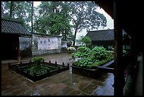 Courtyard of Hongchunping temple in the rain. Emei Shan, Sichuan, China ( color)