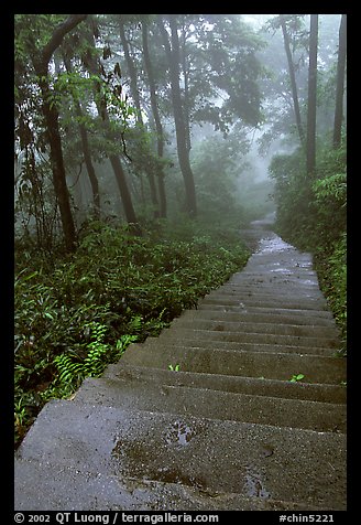 The staircase above Hongchunping. Emei Shan, Sichuan, China (color)