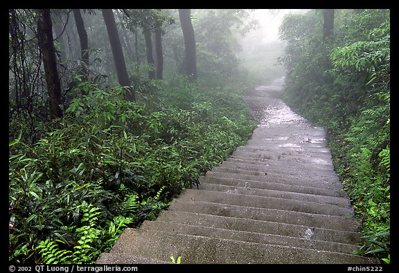 The staircase above Hongchunping. Emei Shan, Sichuan, China