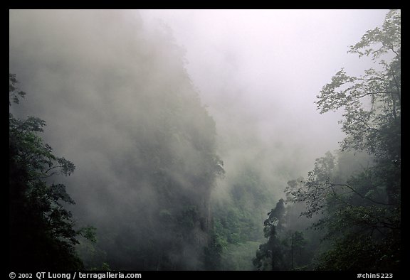 Cliffs and trees in mist between Hongchunping and Xiangfeng. Emei Shan, Sichuan, China (color)