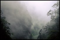 Cliffs and trees in mist between Hongchunping and Xiangfeng. Emei Shan, Sichuan, China