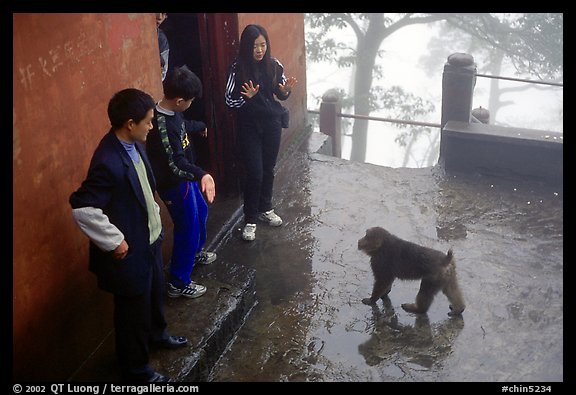 Pilgrims show the palm of their hand to an aggressive monkey, meaning they have no food, Yuxian temple. Emei Shan, Sichuan, China (color)