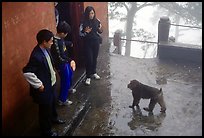 Pilgrims show the palm of their hand to an aggressive monkey, meaning they have no food, Yuxian temple. Emei Shan, Sichuan, China (color)