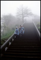 Pilgrims descend stairs beneah Xixiangchi temple in raingear. Emei Shan, Sichuan, China (color)