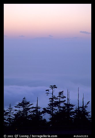 Sunset on a sea of clouds. Emei Shan, Sichuan, China (color)