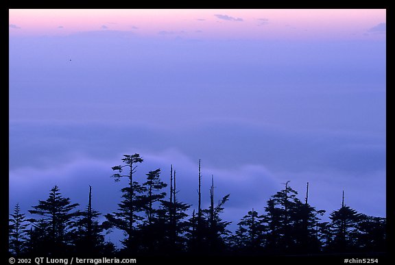 Sunset on a sea of clouds. Emei Shan, Sichuan, China