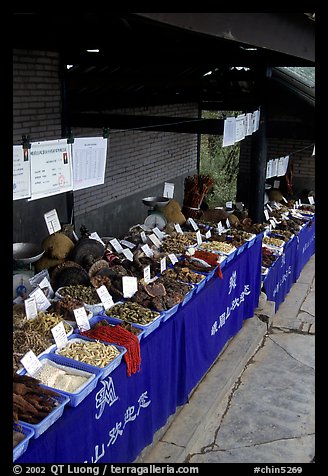 Fungus for sale at a stand near Jieyin Palace. Emei Shan, Sichuan, China (color)