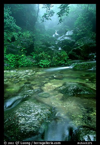 Stream between Qingyin and Hongchunping. Emei Shan, Sichuan, China (color)