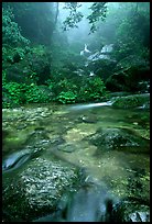 Stream between Qingyin and Hongchunping. Emei Shan, Sichuan, China (color)