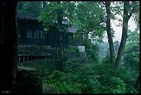 Hongchunping temple, nested in a forested hillside. Emei Shan, Sichuan, China