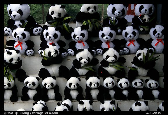 Stuffed pandas for sale. Chengdu, Sichuan, China (color)